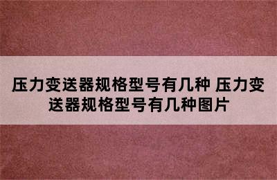 压力变送器规格型号有几种 压力变送器规格型号有几种图片